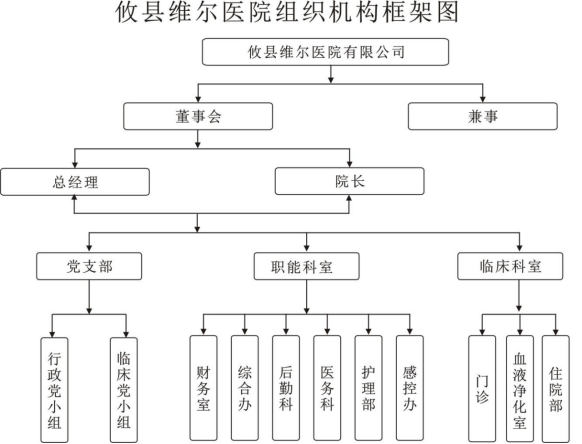 维尔组织图.png