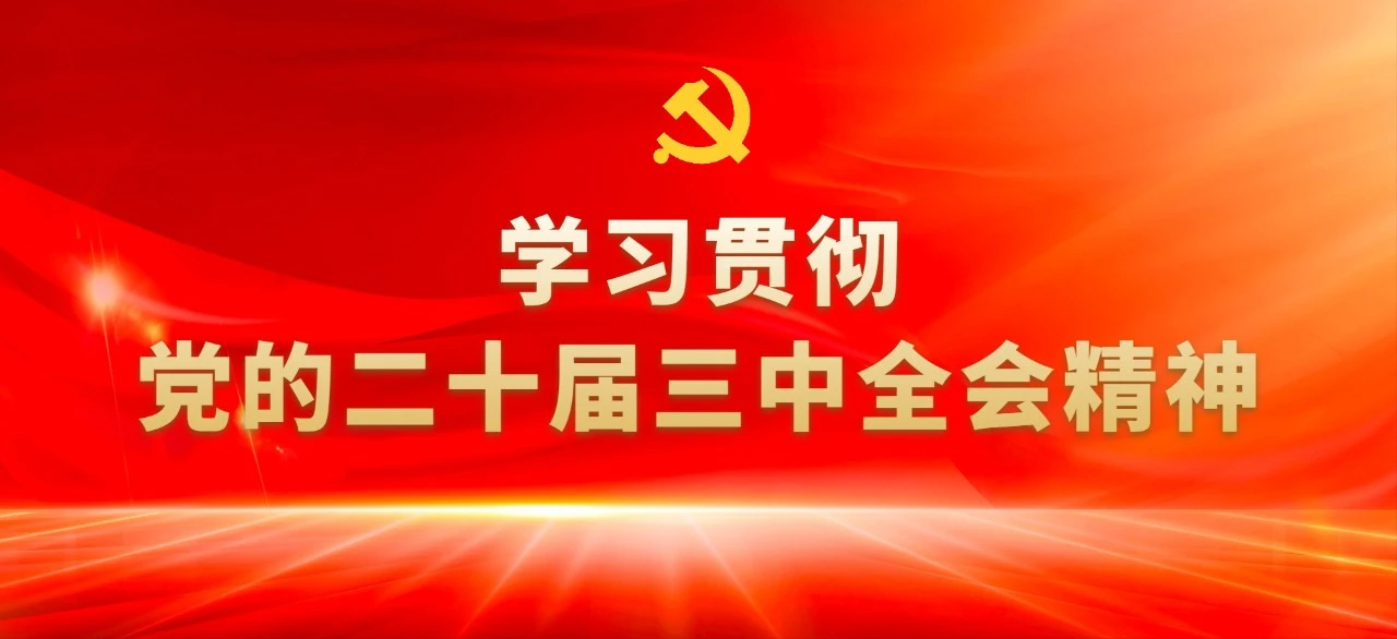 读懂党的二十届三中全会①：12组“改革热词”背后的知识点